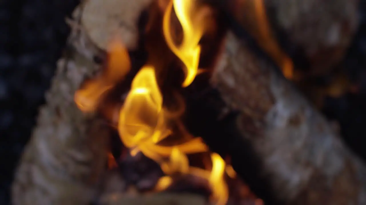 Burning Logs Slow Motion 4K 08