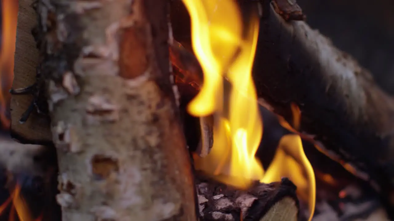 Burning Logs Slow Motion 4K 11