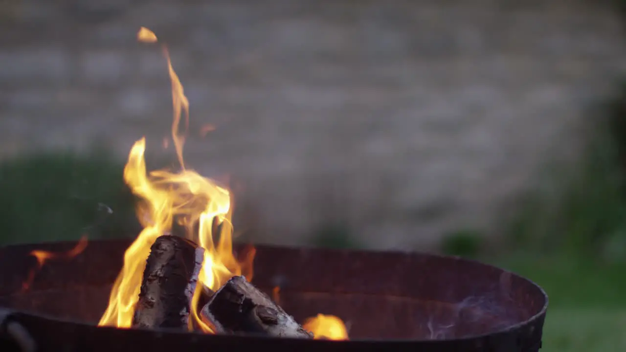 Logs in Fire Pit 4K 01