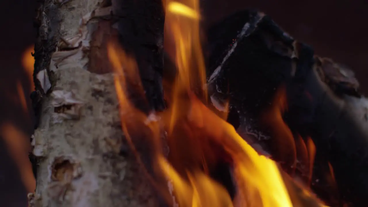 Burning Logs Slow Motion 4K 15