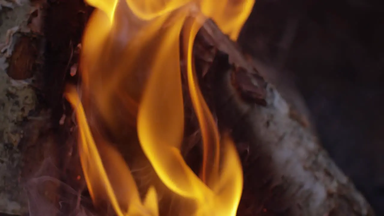 Burning Logs Slow Motion 4K 02