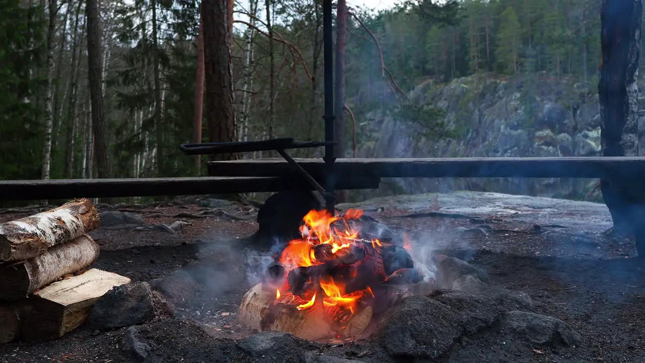 Campfire in the forest