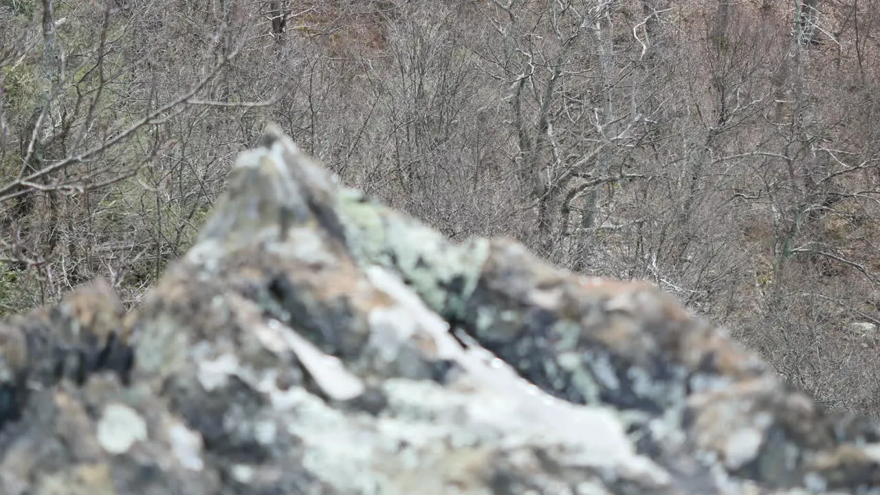 Rock Filled With Water Comes Into Focus