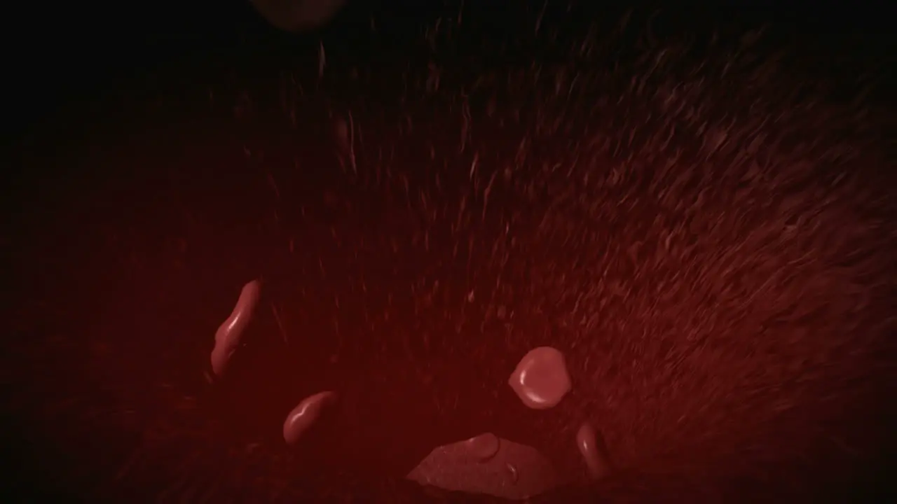 Medical animation of Blood Cells