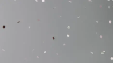 Stationary Shot of Pink and White Confetti Falling Against a Grey Background