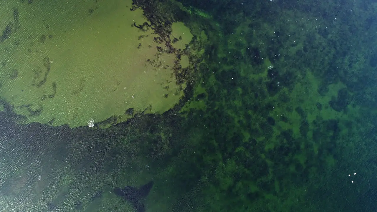 Spring water ice landscape drone topdown view