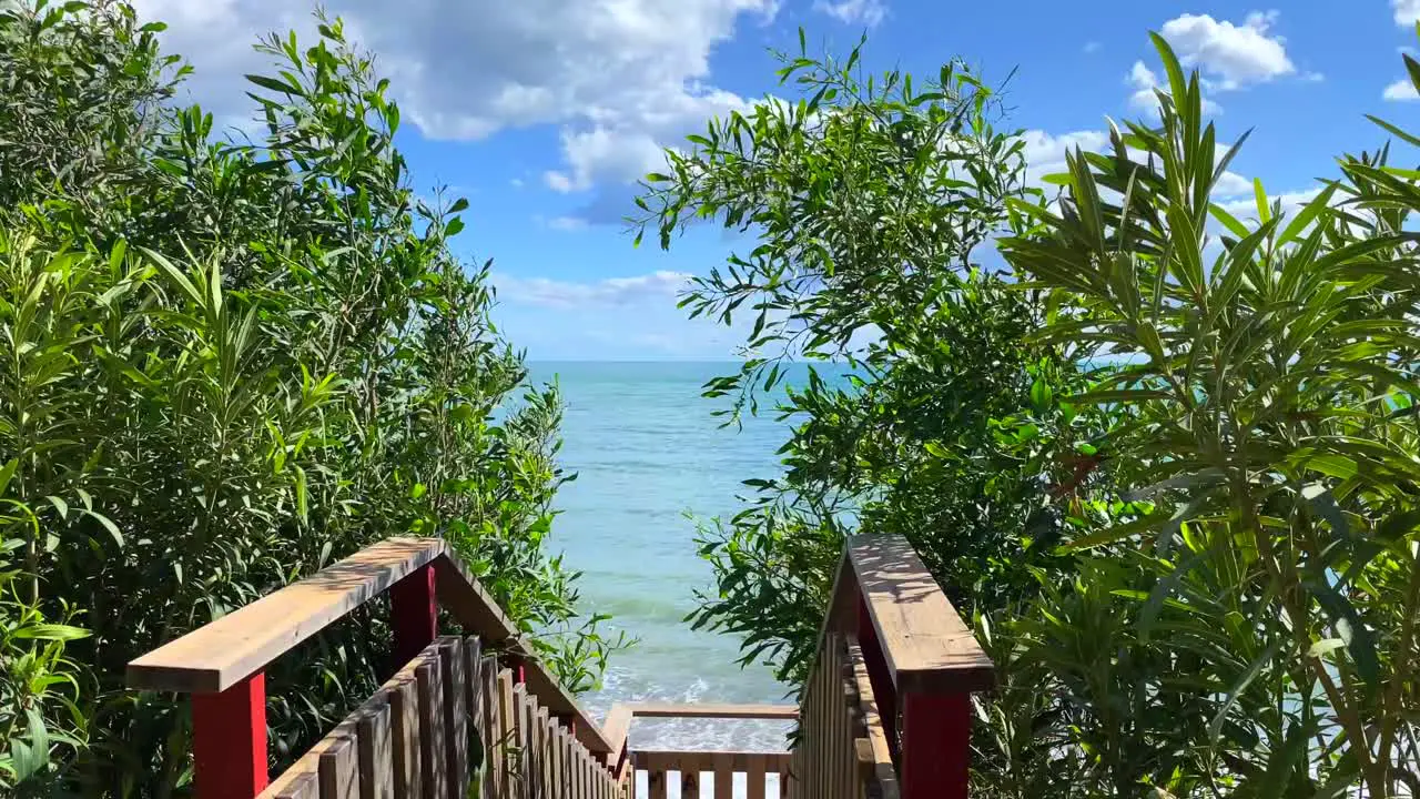 Beautiful cinematic sea view on a windy sunny day with blue sky and trees moving near wooden stairs by the beach in Marbella Estepona Spain 4K static shot