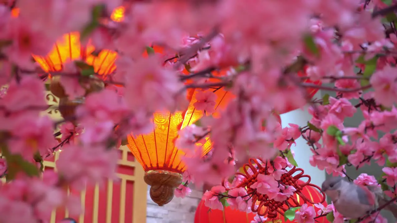 Red lantern decorated at artificial plum blossom