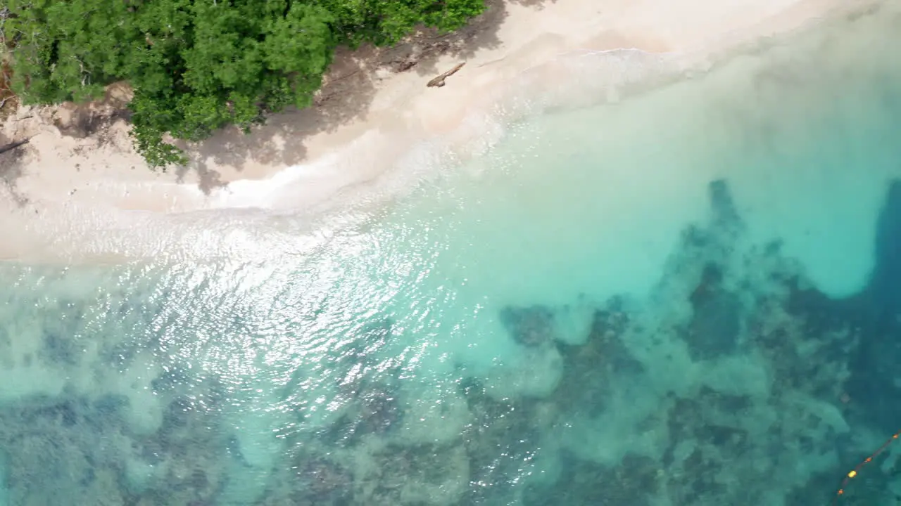 Top down aerial drone shot of tropical beach