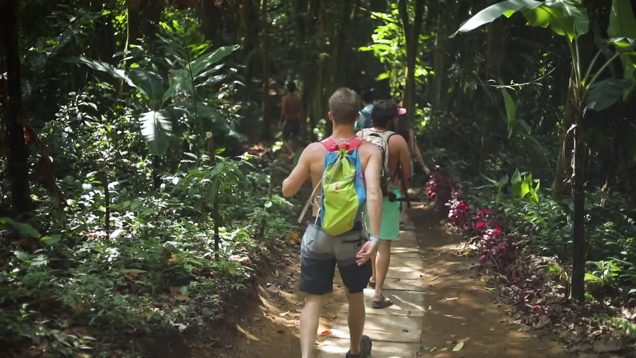 A group of hikers walking down a trail