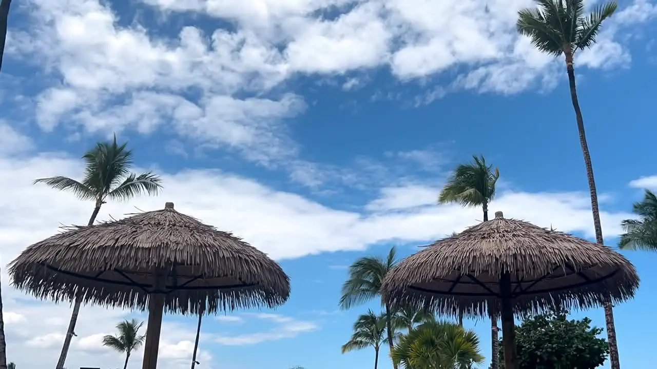 Cloudscape over the palm trees and shade tiki thatch hula umbrellas at a tropical beach motion time lapse