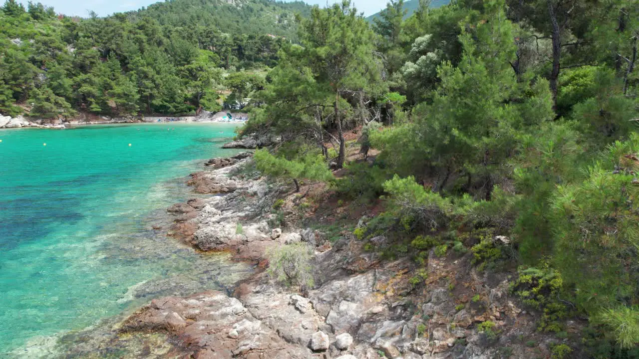 Cinematic Side View From Behind A Fir Tree Revealing The Beautiful Glifoneri Beach With White Sands Clear Water And Lush Vegetation Thassos Island Greece Europe