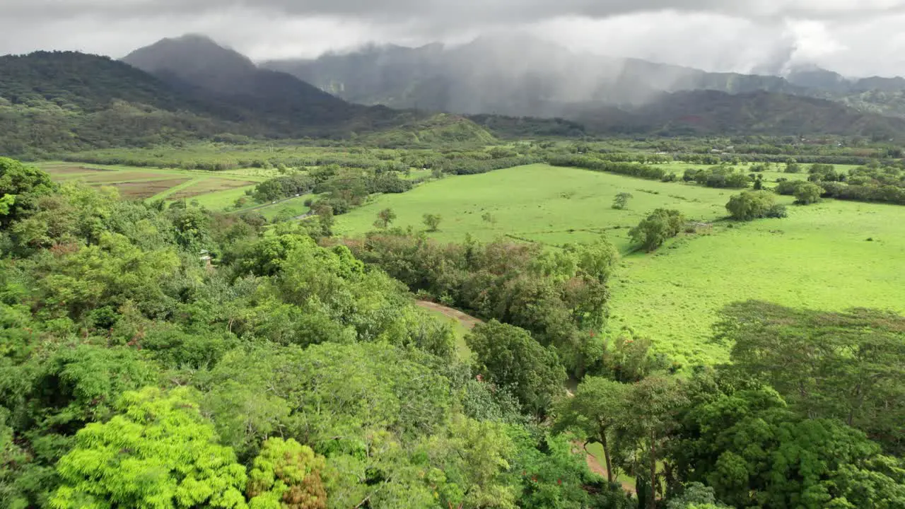 Kauai Hawaii landscape jungle drone footage