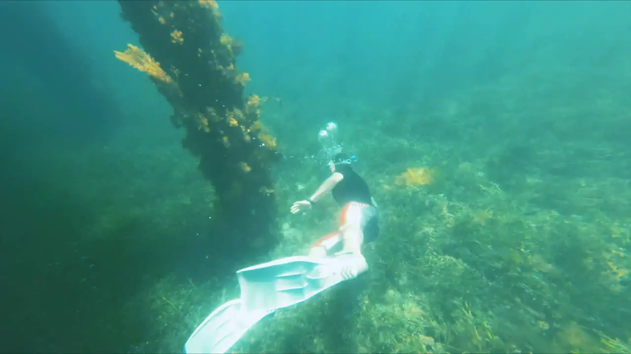 snorkeling under a pier near Melbourne