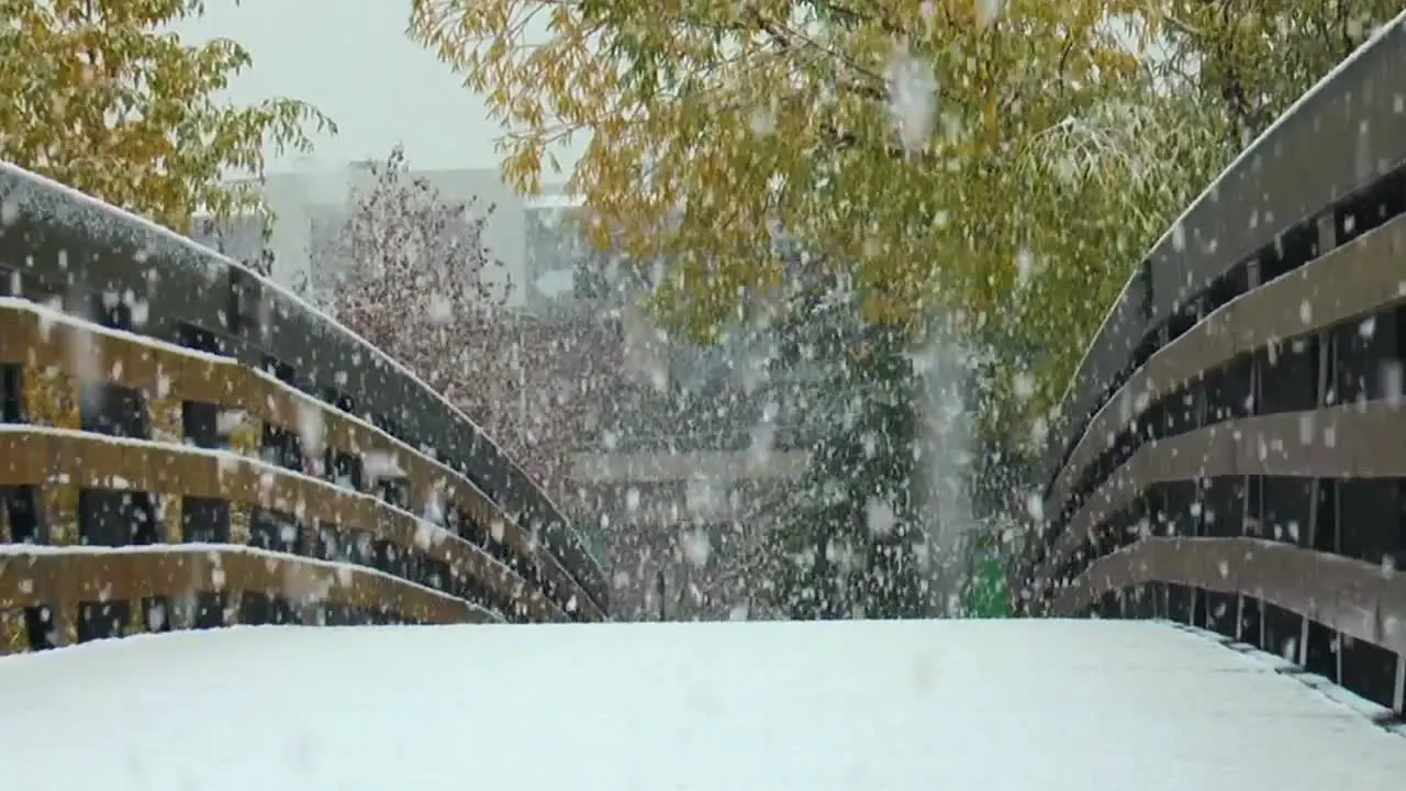 Snow falling on a footpath bridge in Colorado