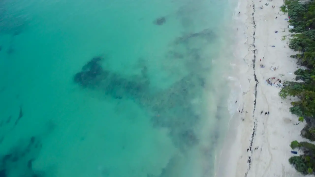 aerial view of a white sandy beach with crystal clear blue waters