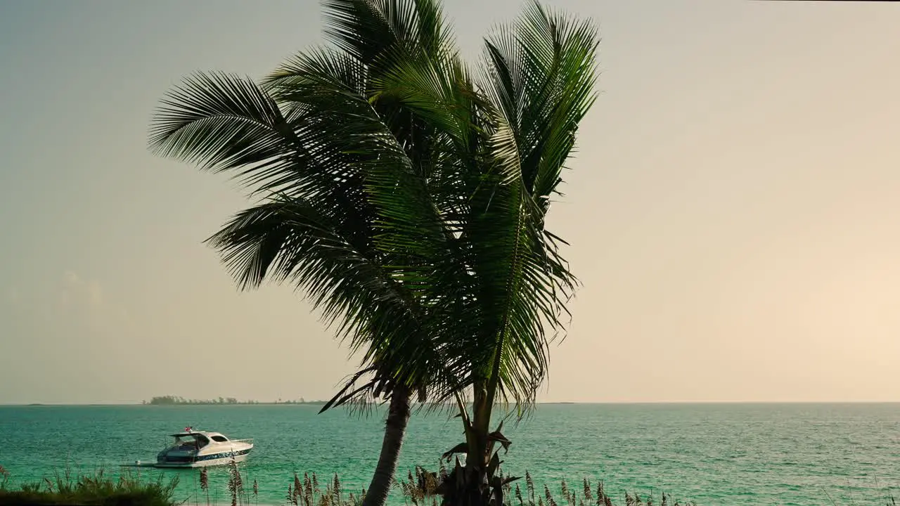 Palm trees blowing in Bahama breeze with ocean and yacht in background