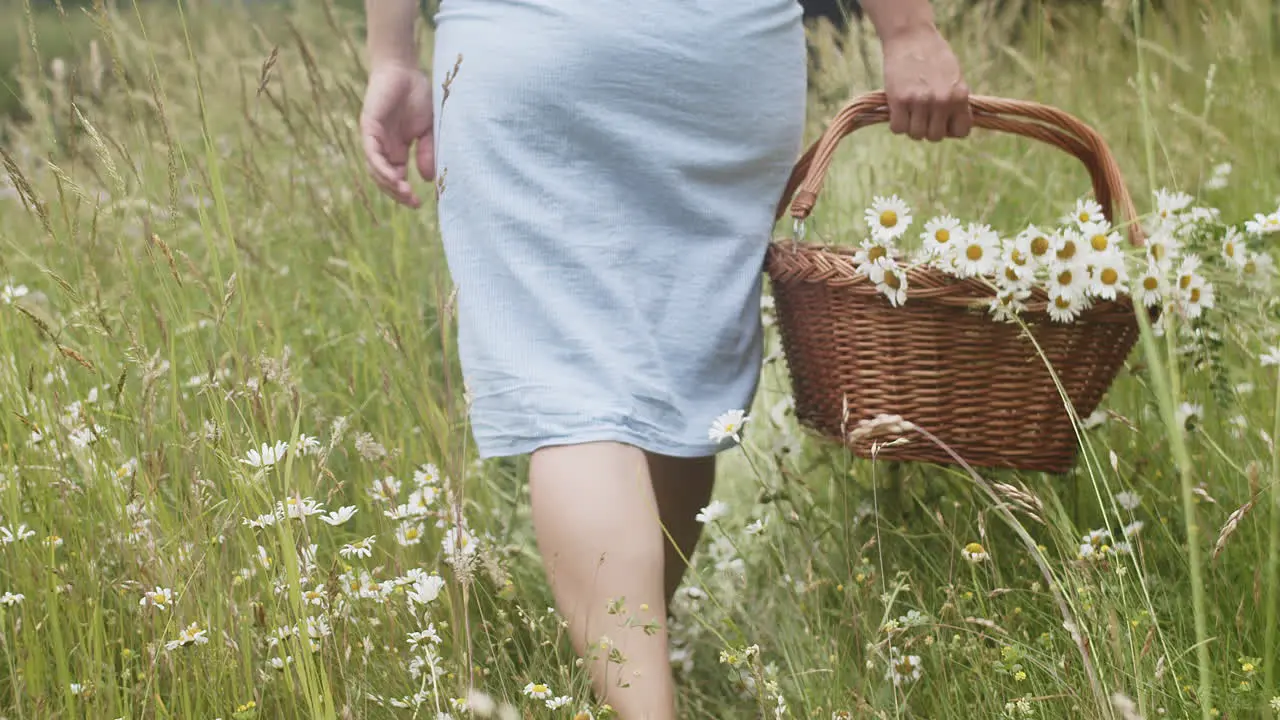 Woman in dress walks barefoot in tall grass with flower basket slow motion