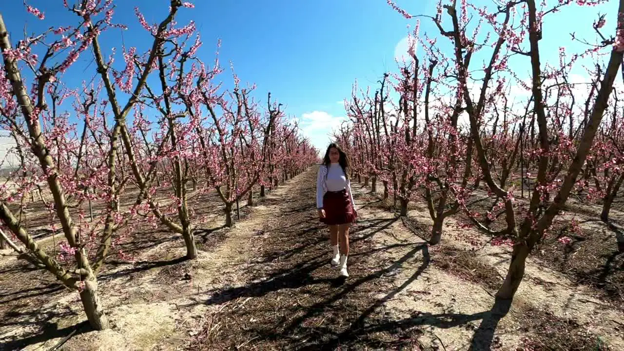 Young woman walking through rows of blossoming apple trees on a warm spring day