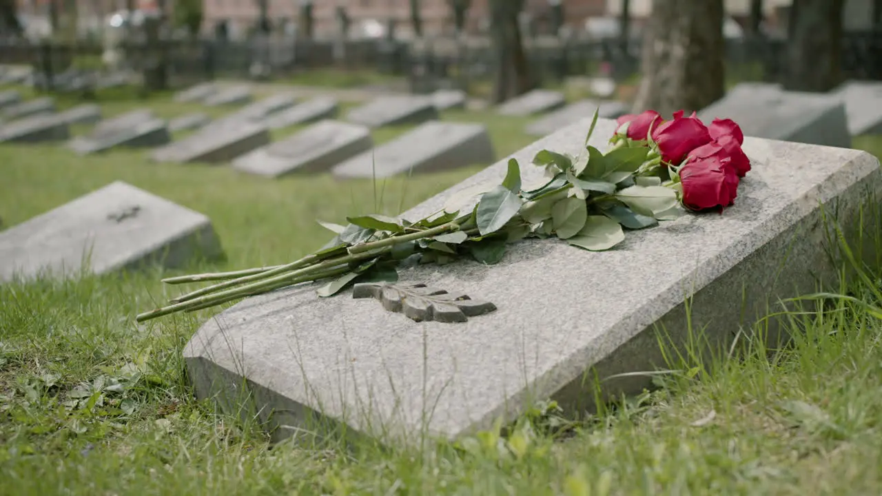 Close Up View Of Red Roses On Tombstone In A Gravevard