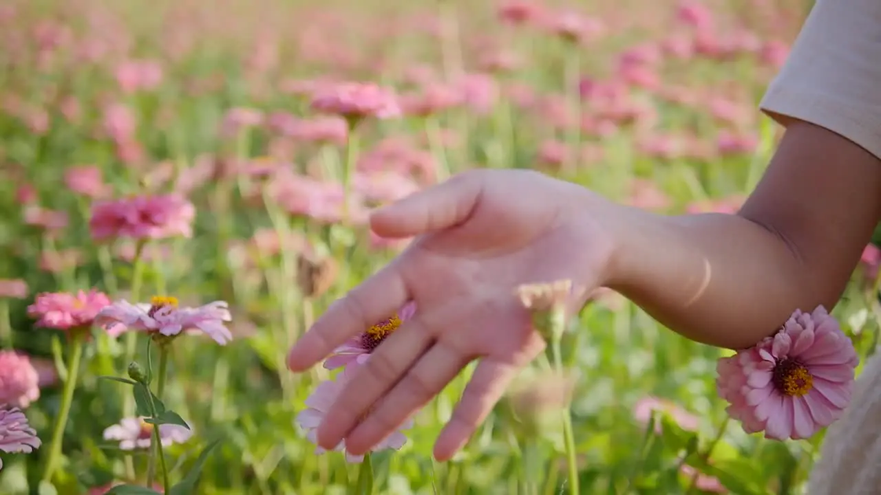 Close up of girl walking through a field of pink flowers touching them gently