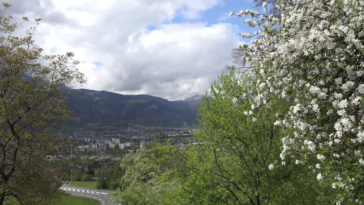 France Cluses View Of Valley With Blooming Tree