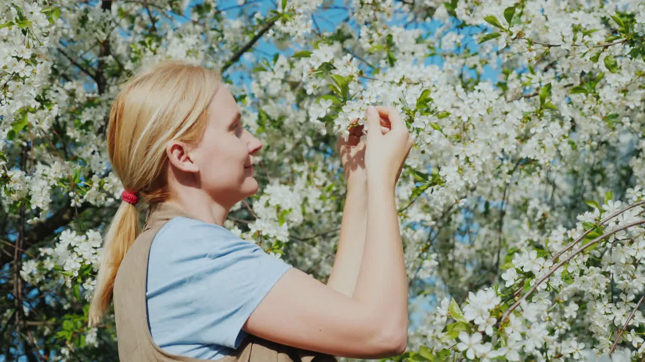 A Young Woman Admires A Flowering Tree The Arrival Of Spring And Heat