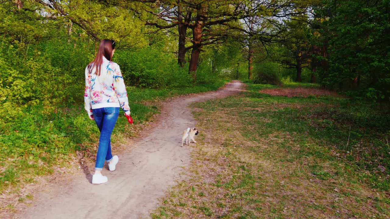 Young Stylish Woman In Sunglasses Walking In The Park With A Dog Of Pug Breed 4