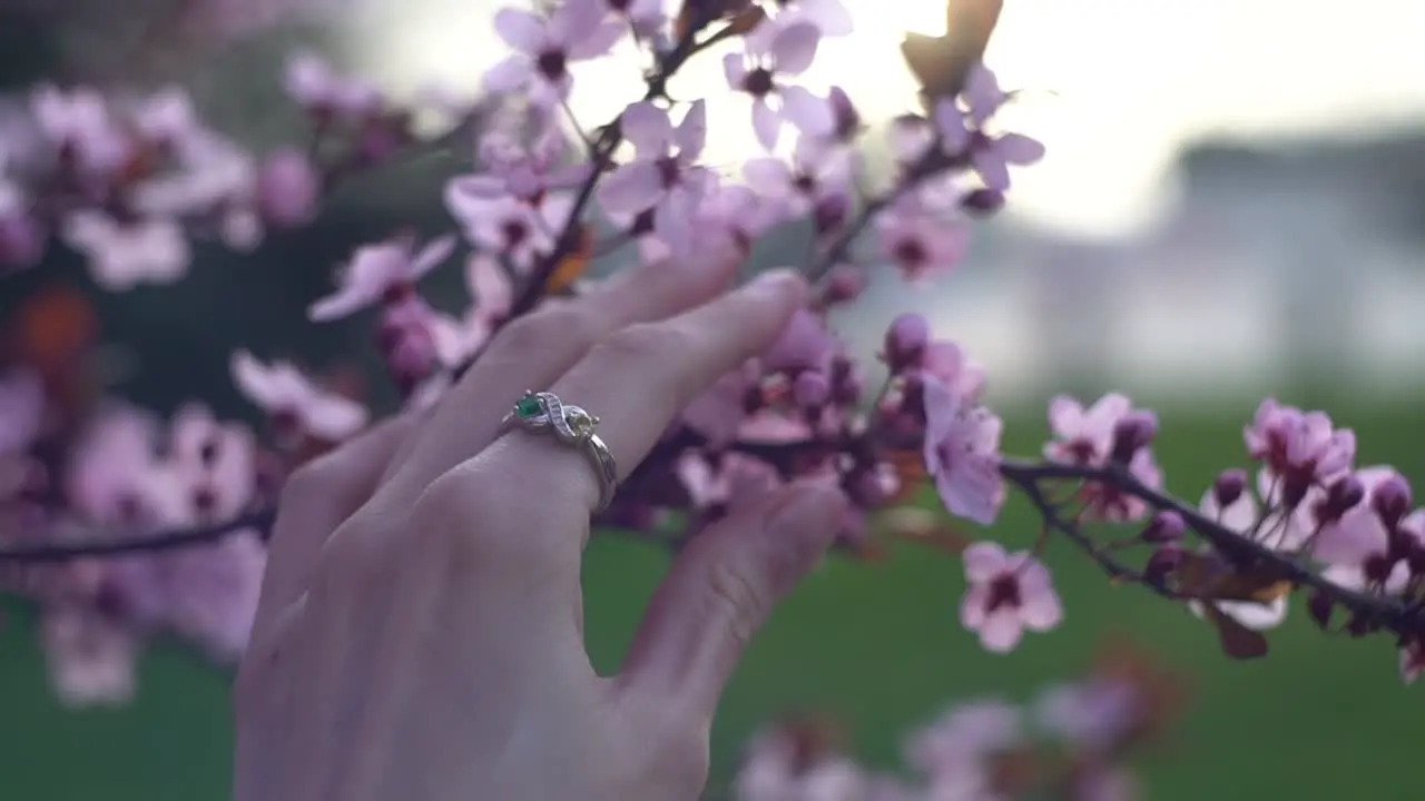 Man romantically took woman's hand near the flowers