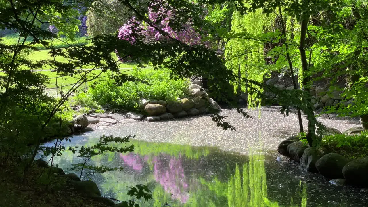 lake in the park on a sunny day