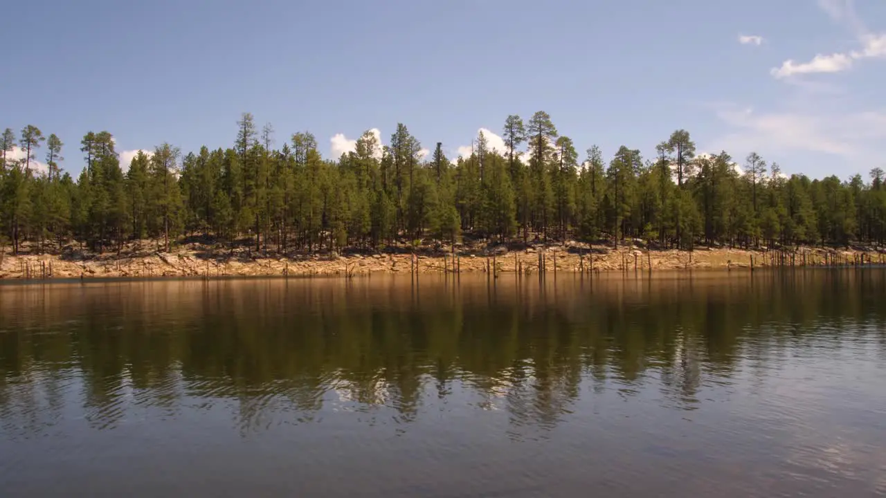 Treeline of the water bank at Willow Spring in Arizona USA Southwest