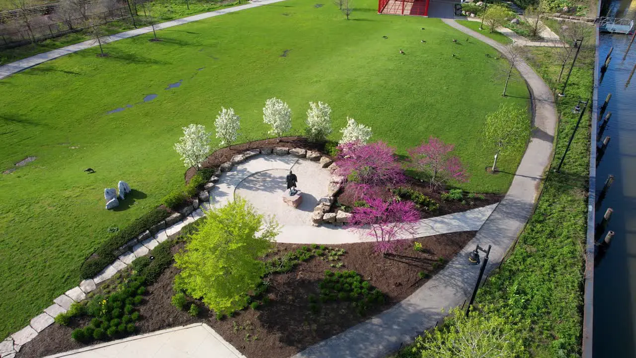 Spring Trees Blooming In Urban City Park Drone