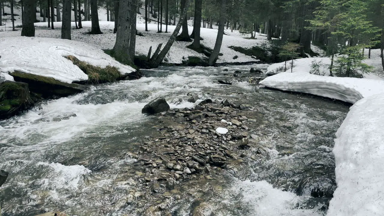 River in snow in winter view Spring stream flowing in forest with melting snow