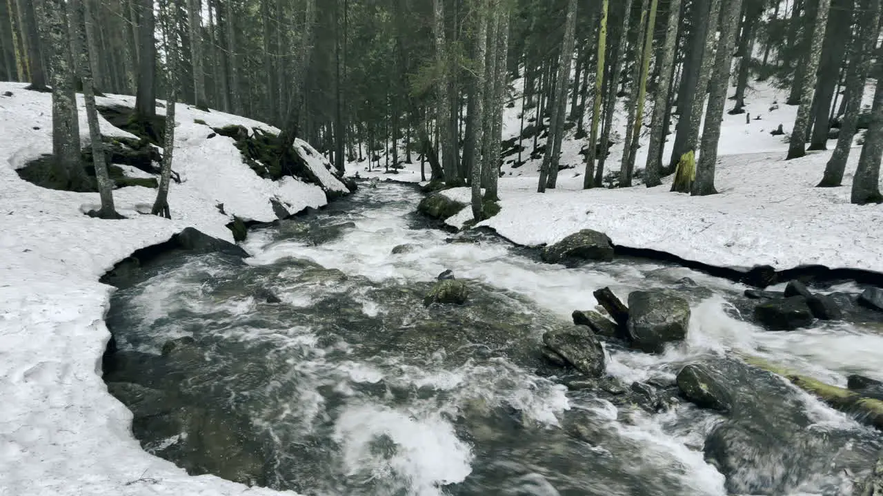 River in winter forest with snow Winter water flow flowing through rocky rapids