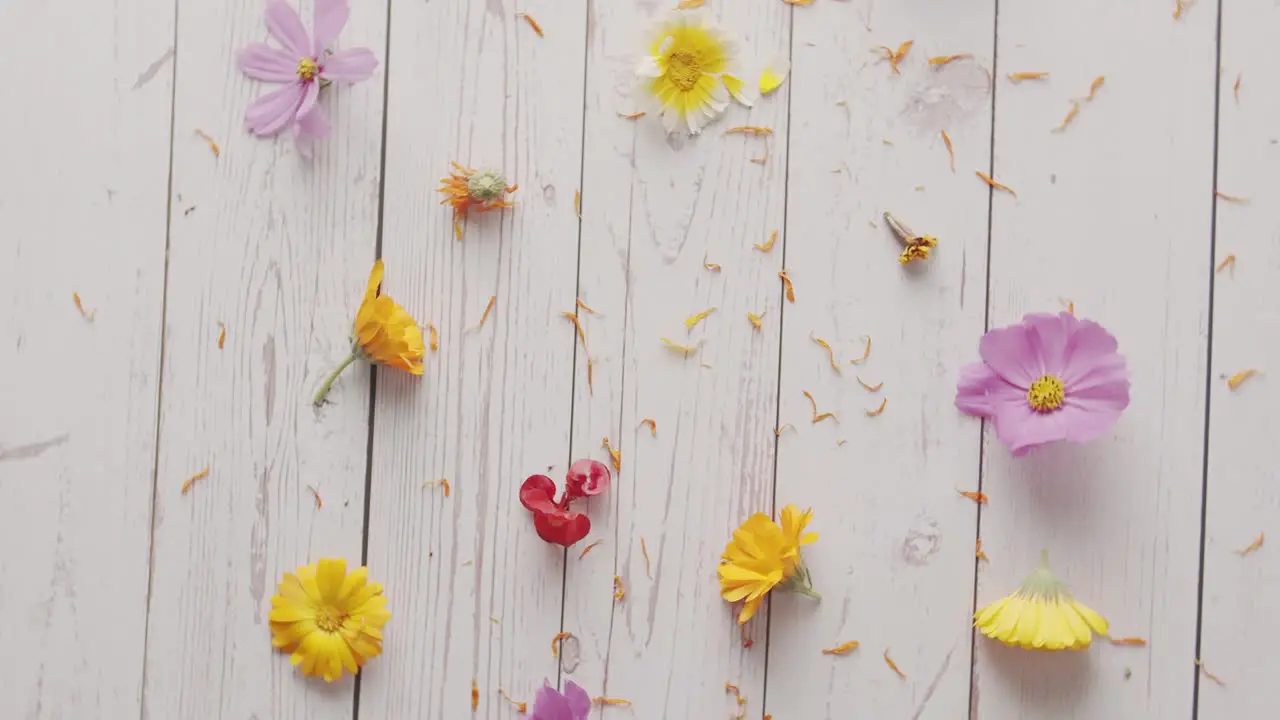 Top view of spring flowers on a white wooden table