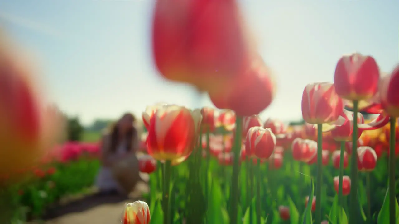 Spring flower garden in bloom with unrecognizable girl sitting on road