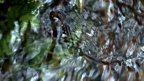 Cold water flowing from spring in forest Babbling brook in woods