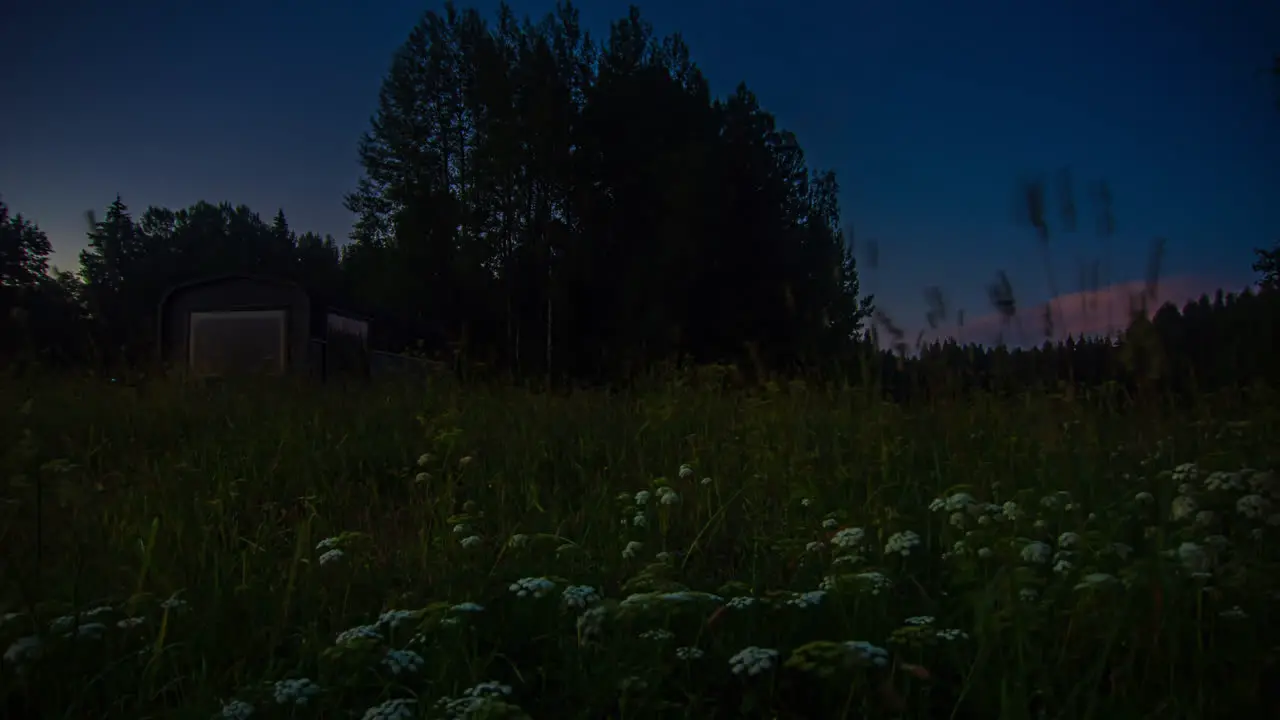 Day and night spring cabin with flowers blooming in spring timelapse