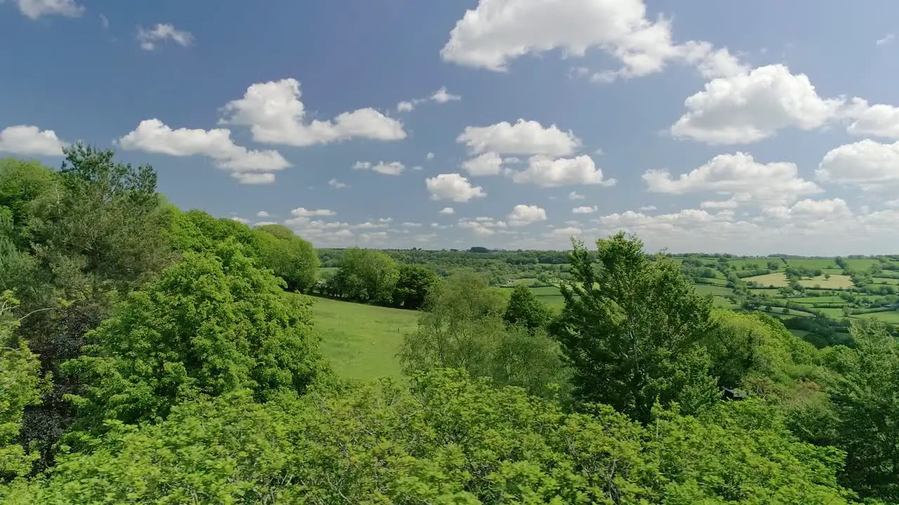 Slow track past of treetops amongst green English fields and a vast countryside landscape with a picturesque blue sky with puffy clouds