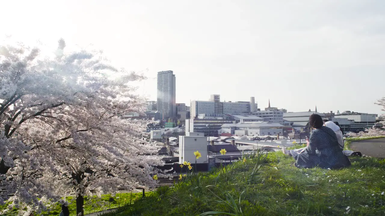 People sitting at Park Hill Ampitheatre admiring the Sheffield City Sky Line view during Cherry Blossom Season Spring Summer enjoying the warm weather