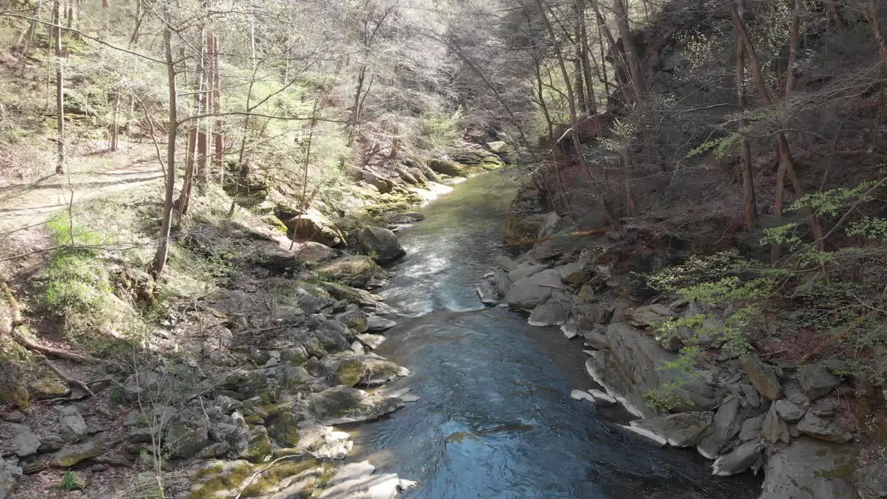 establishing drone spring river fly in drone shot of the Conestoga river from susies hole Pequea PA USA spring indians pequea lancaster county amish environment forest outdoors ecology