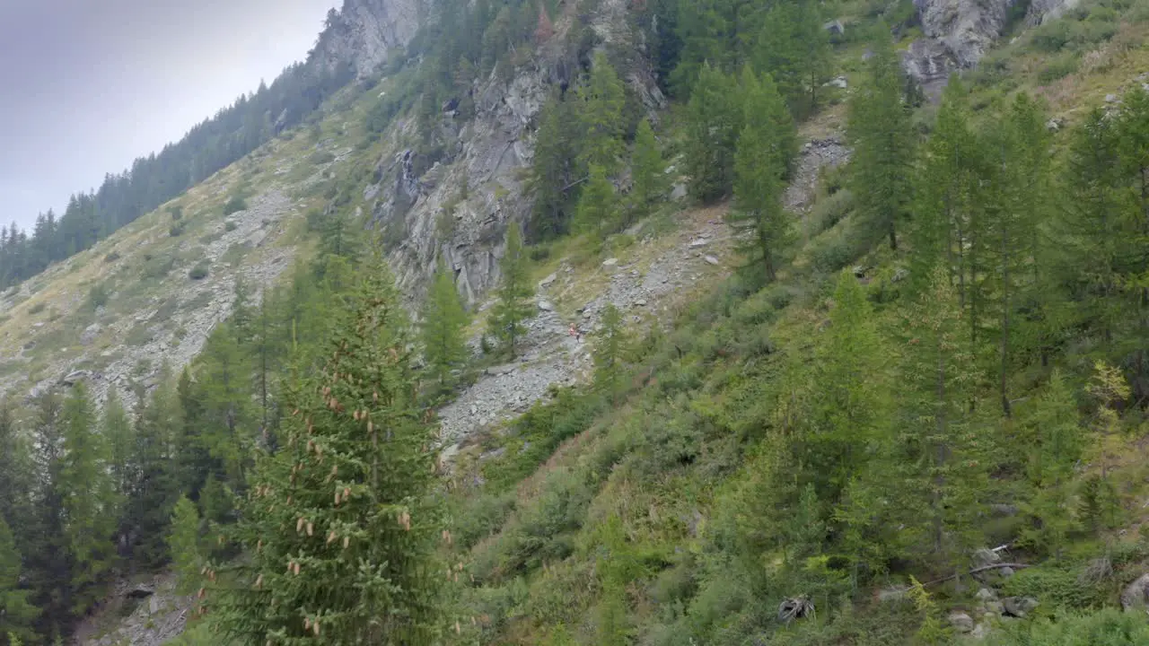 Flying over an alpine landscape in a cloudy day