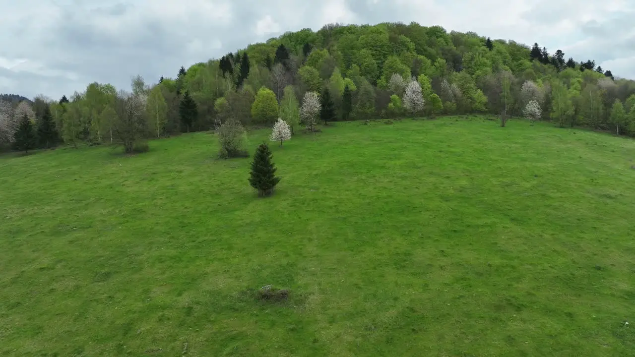 Drone glides low over lush green meadows and blossoming spring trees set against dramatic cloudy skies