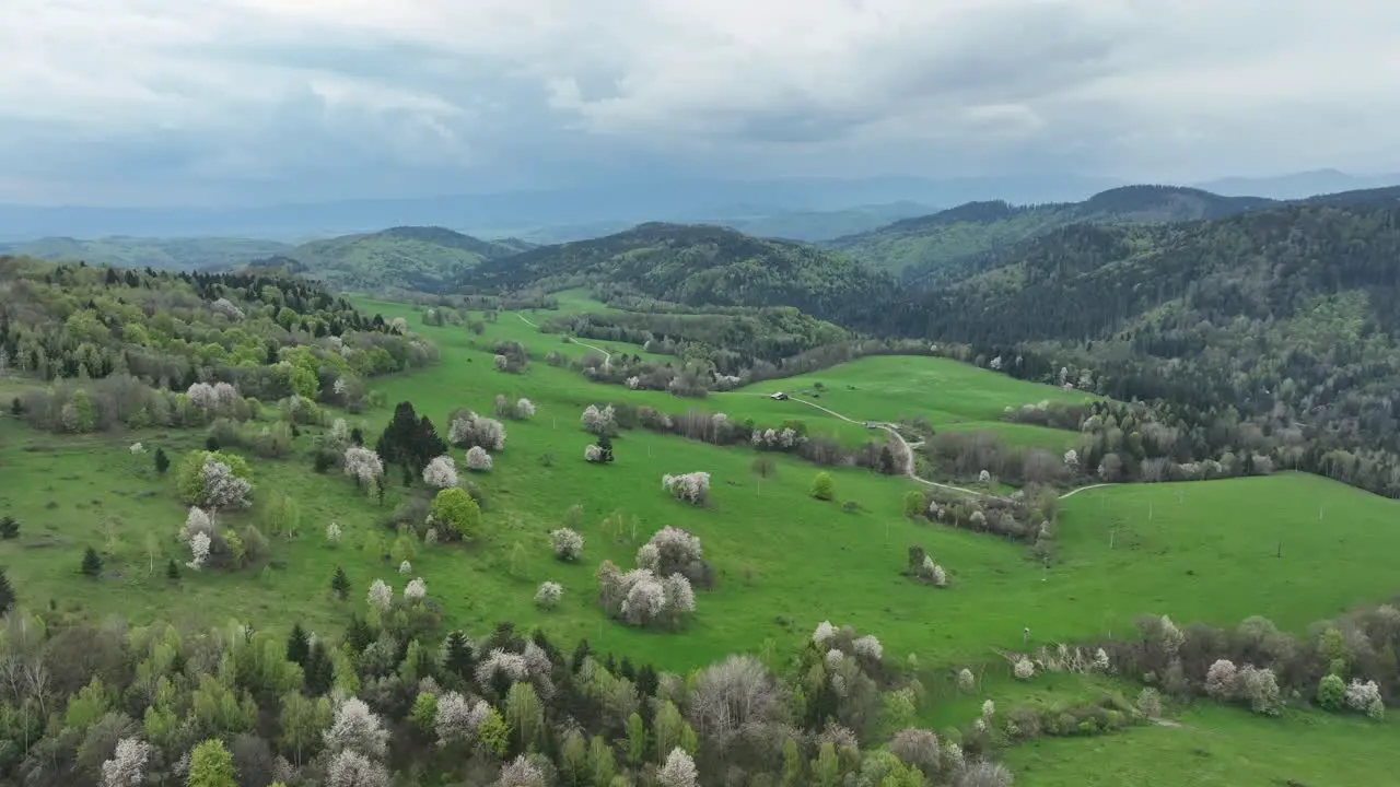 Captivating spring scenery A drone glides above vibrant blossoming orchards meadows and dense forests under the ever-changing canvas of dramatic cloudy skies and serene blue horizons