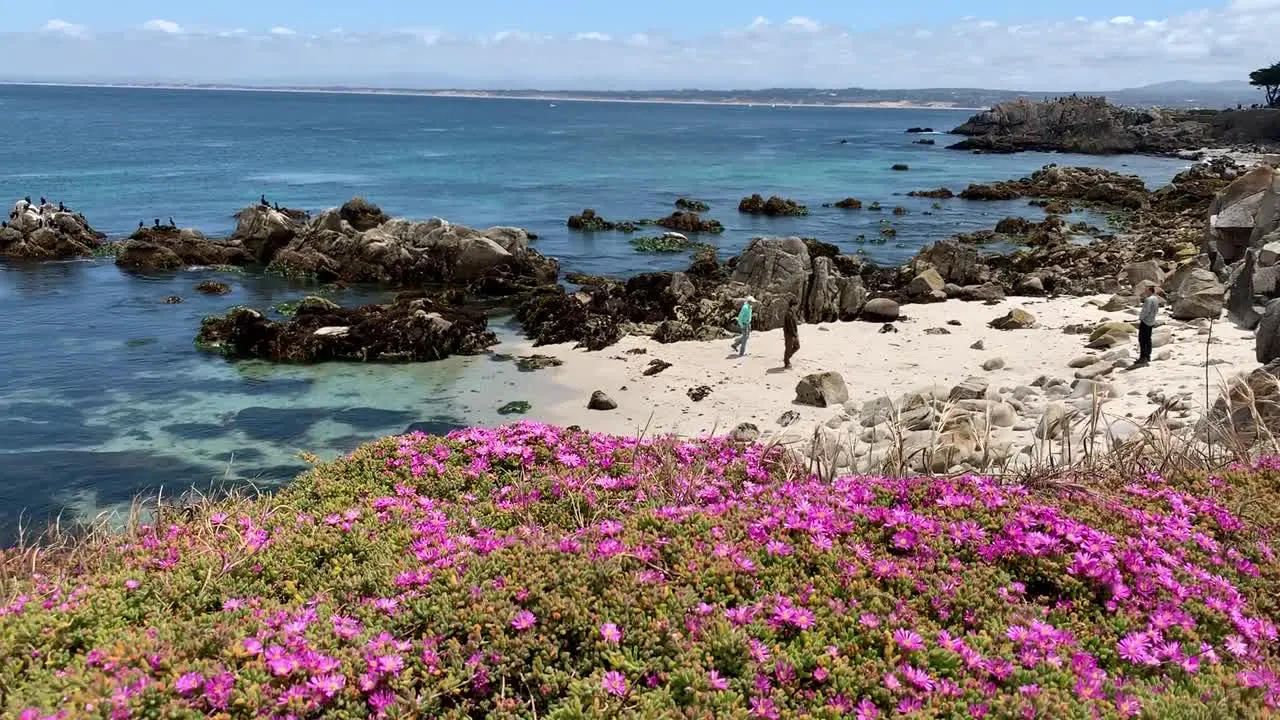 Beautiful coastal landscape scenery along the rocky shorelines of Pacific Grove in Monterey County California