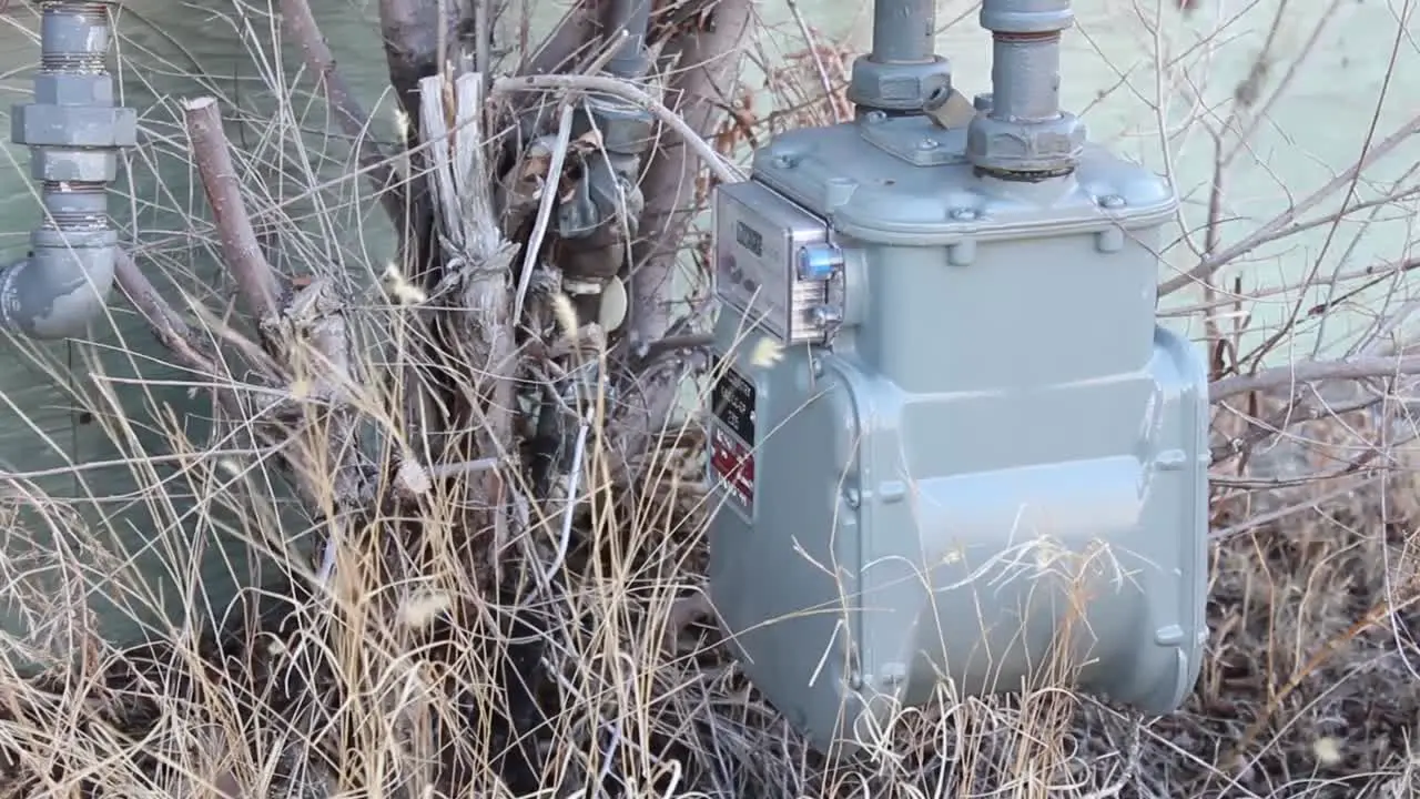 A gas meter next to a tree in spring of the outside of a house during the day