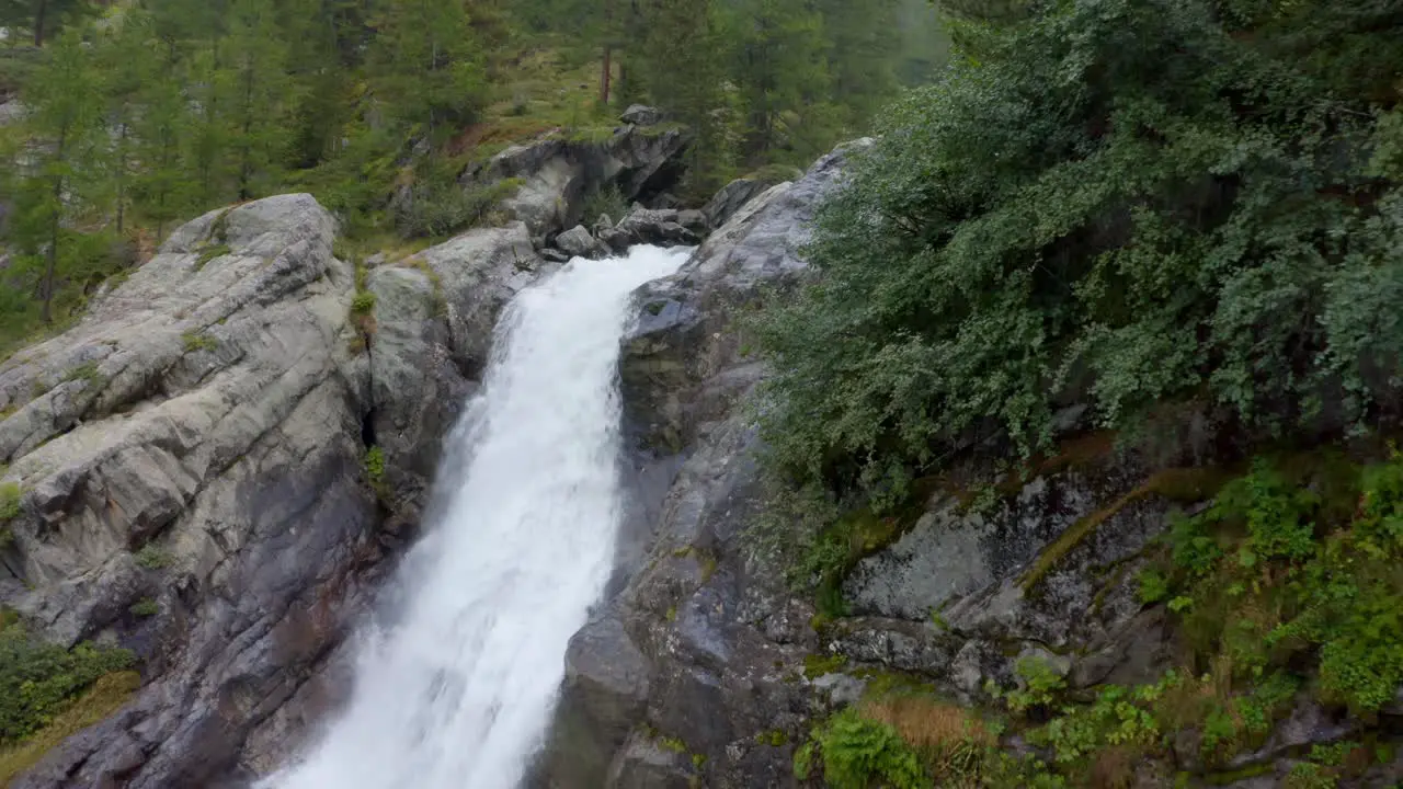 Quiet mountain stream flows in the middle of nature