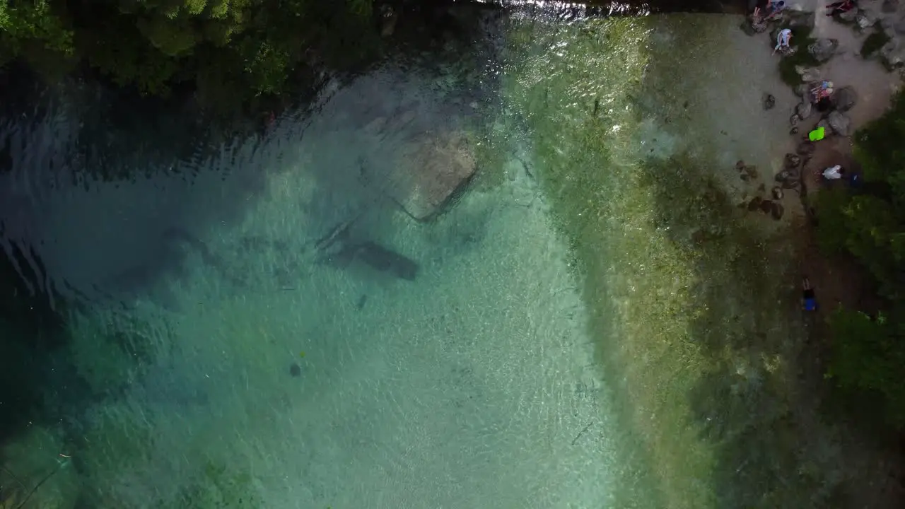 A mesmerizing bird's-eye view of the crystal-clear Kamniška Bistrica river spring surrounded by lush greenery mossy rocks and serene woodland in Kamnik Slovenia