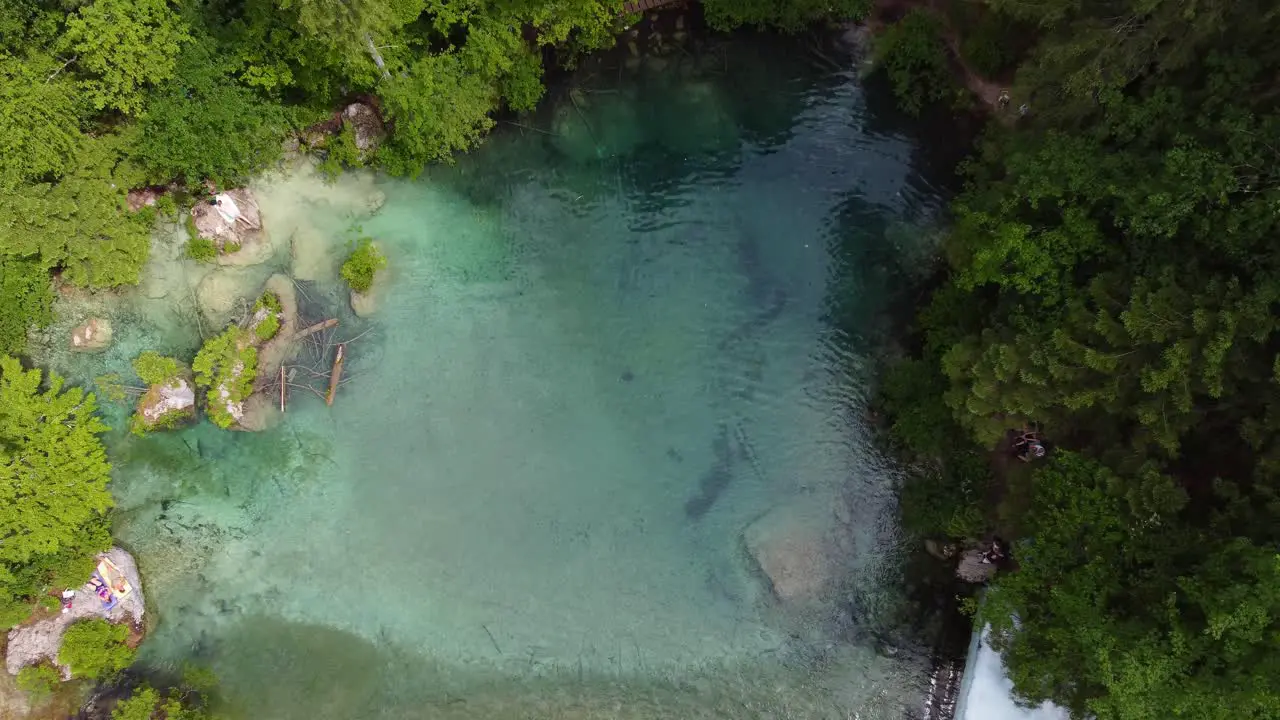 Kamniška Bistrica spring Gorgeous green Slovenian nature with crystal clear turquoise water and lush trees