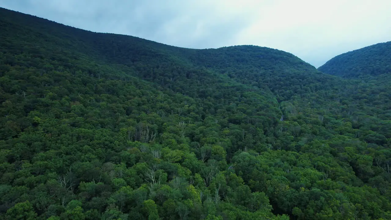 stunning spring time drone footage deep in the Appalachian mountains